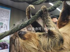 -正佳雨林生态植物园