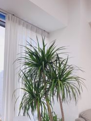 -芮娅时光半永久纹眉·美甲美睫·皮肤管理