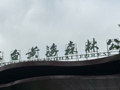 -黄海国家森林公园