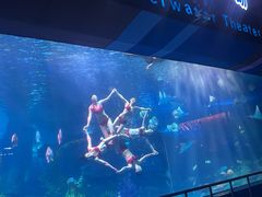 -泉城欧乐堡海洋极地世界