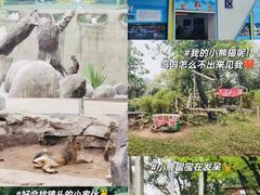 -广州动物园