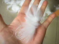 -AEON永旺(东方宝泰店)