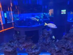 -上和臻品中国菜(花园街店)