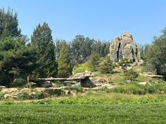 -北京野生动物园