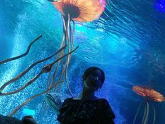 -沈阳海洋探索中心