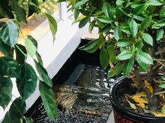 -泉乐坊步行街(烟酒特产平价超市店)