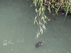 -天台山赤城山景区