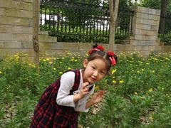 -学知乐教育·幼小衔接·小学科辅导(嘉定镇校区)