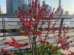 -北外滩滨江绿地