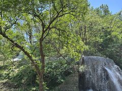 -沂蒙山旅游区云蒙景区(蒙山国家森林公园)