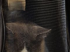 -严国平动物医院(德政总院)