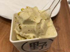 -野人先生现做冰淇淋(西安赛格店)