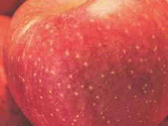 -上海龙吴水胜海发市场