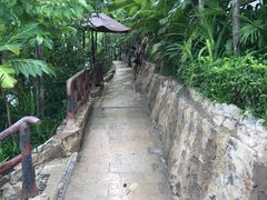 -锦尚阁烤鱼(望京新荟城店)