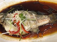 清蒸鲈鱼-裕德隆清真饭庄·天津特色菜(河东店)