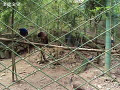 -藏龙百瀑风景区