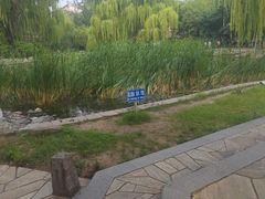 -玲珑塔公园