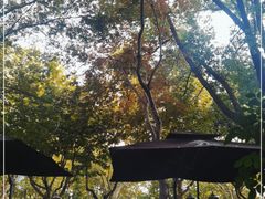 -Pistolera Mexican Cantina女枪手墨西哥餐厅(碧云路店)