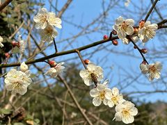 -宝岩生态观光园