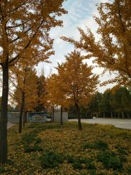 -郑州市世纪公园