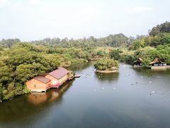 -广州长隆野生动物世界