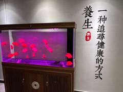 -金蚁康•经络调理•肩颈按摩(万达金街店)