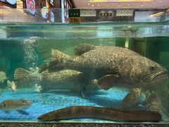 -聚福宝合苑食府(南头镇店)