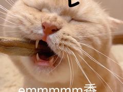 -Dak's 炸鸡(远景路店)