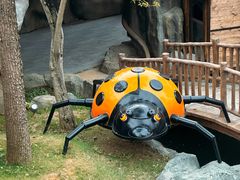 -南京银杏湖乐园