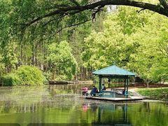 -共青国家森林公园-售票处