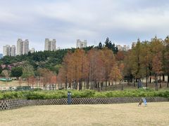 -牛岗山公园