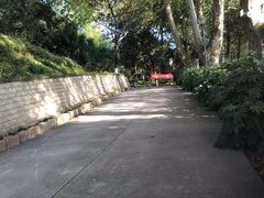 -菊花台公园
