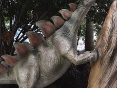 -海合安武汉极地海洋公园