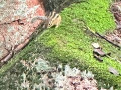 -五女峰国家森林公园