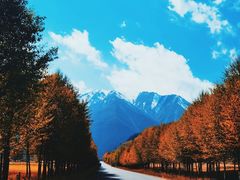 -大冬树山垭口