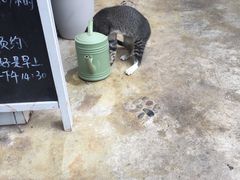 -花苑里咖啡(威远店)