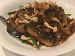 -同乐小聚TungLok Teahouse