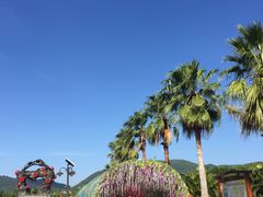 -亚龙湾国际玫瑰谷
