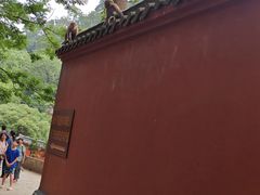 -黔灵山公园