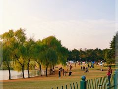 -黄兴公园