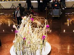 大堂-白云宾馆·白云宴餐厅