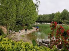 -云岗森林公园