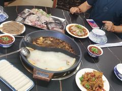 -秦巴石锅鱼(文化南路店)