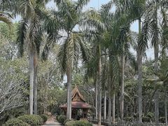 -西双版纳傣族园
