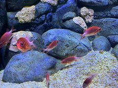 -成都浩海立方海洋公园