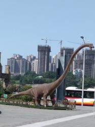 -恐龙探索乐园(磁器口店)