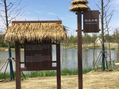 -上海长兴岛郊野公园