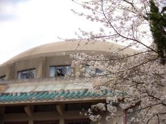 -武汉大学-樱园