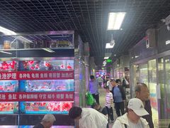 -花鸟鱼虫鲜花绿植市场(玉泉路店)