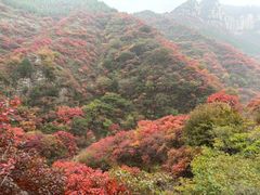 -黄花溪